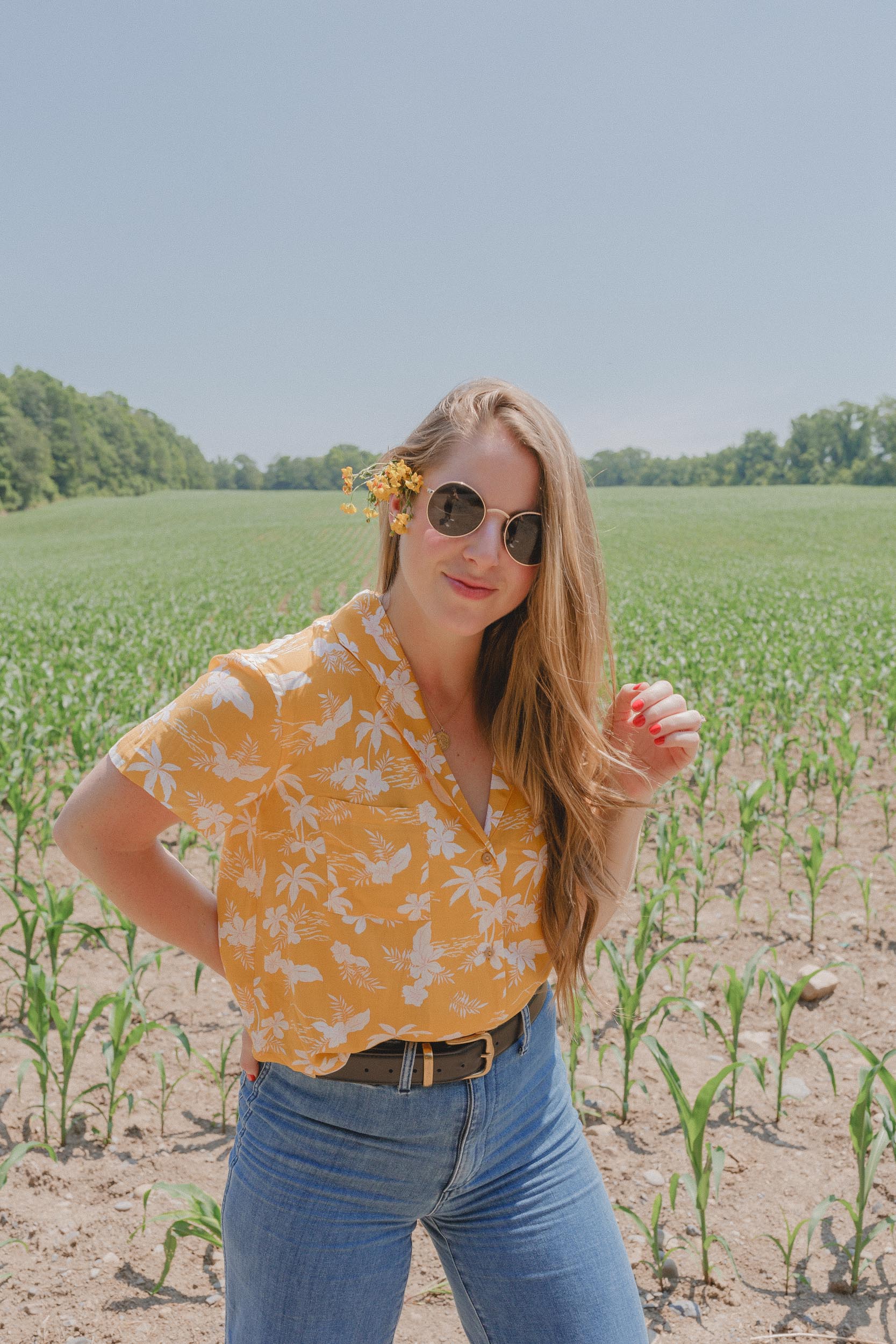 Upstate New York Corn Fields image