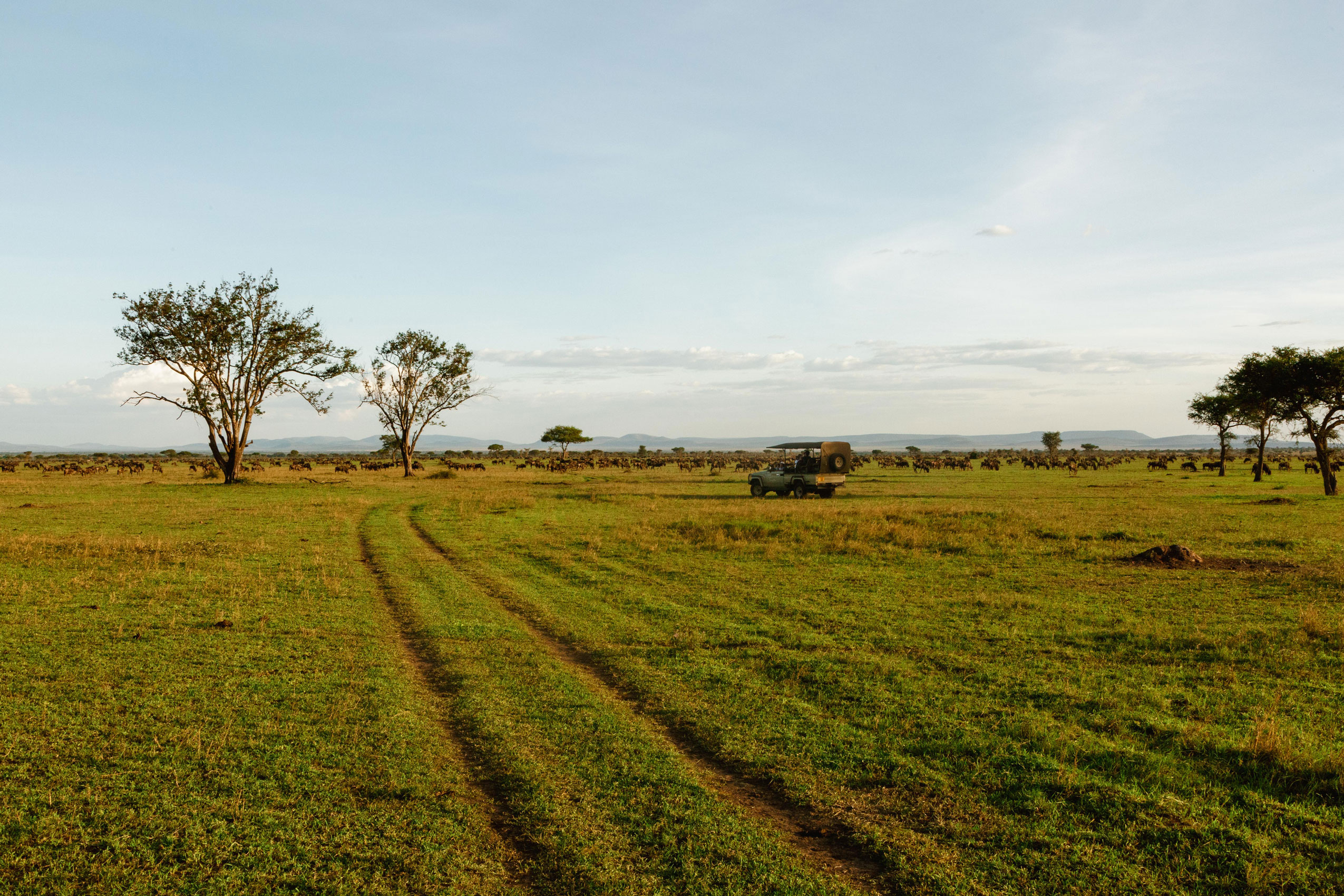 Choosing Where to Stay on African Safari image